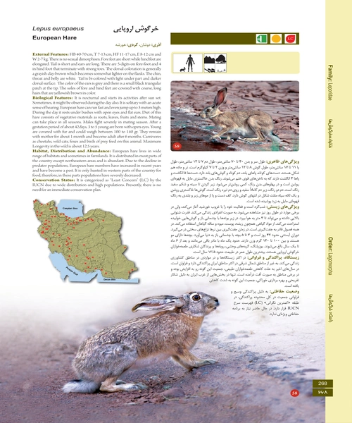 اطلس پستانداران ایران - نمونه اول - جزیره کتاب های الکترونیکی